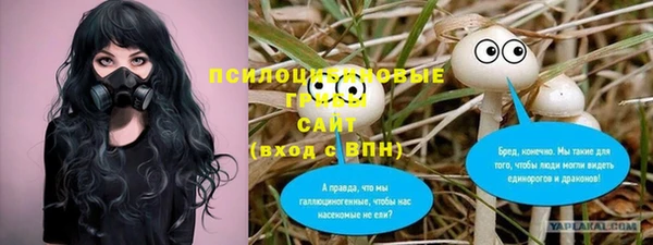 мет Горняк